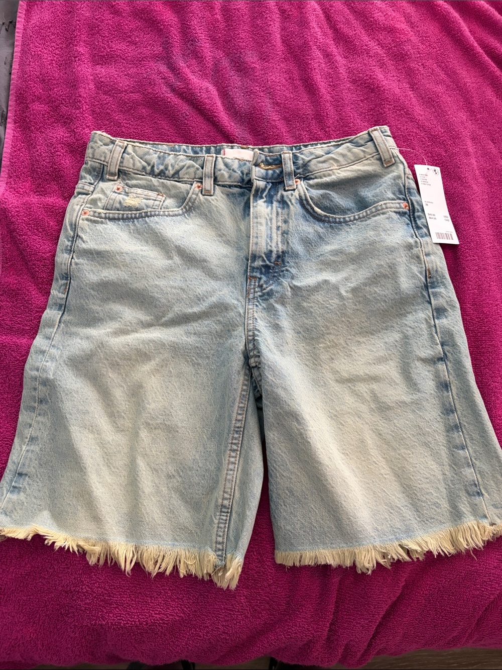 BDG Light Blue Frayed Hem Denim Shorts